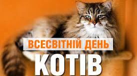 17 лютого Всесвітній день кота😾😻😼