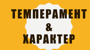 Презентація "Темперамент та характер"