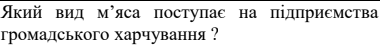 0401xgs2-aae6-380x53.png