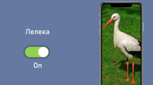 Презентація "Загадки про птахів"