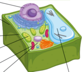 0401xkct-3420-166x145.png