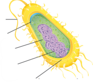 0401xket-2c71-190x167.png