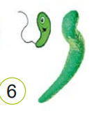 0401xlk2-ce0b-135x163.png