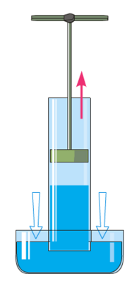 0401xmx4-d9f3-231x475.png