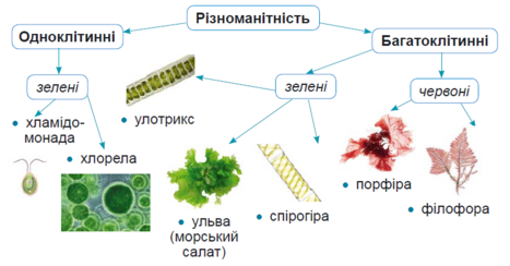 0401xoyz-1547-467x244.png