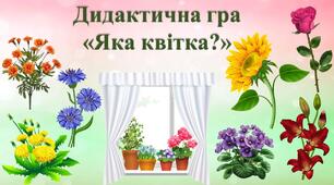 Дидактична гра "Яка квітка?"