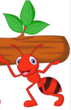 0401xsiz-d531-101x157.png