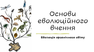 Презентація "Еволюція органічного світу"