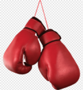 0401xtru-d9d9-920x1000.png