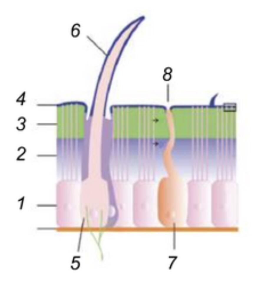 0401xua9-b2e5-869x966.jpg