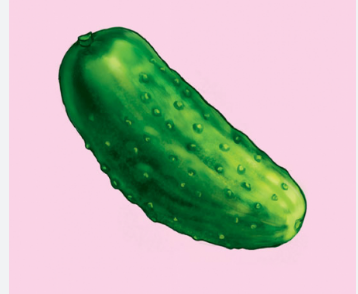 0401xw2v-9c87-358x294.png
