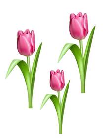 0401xwbb-d02c-211x281.jpg