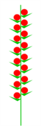 0401xwww-98e5-60x181.png