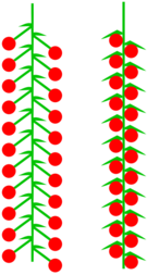 0401xwyb-d458-135x253.png