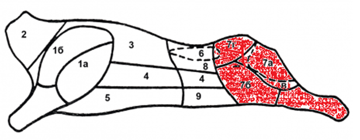 0401xxf2-cc1d-711x277.png