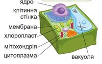 0401xxi6-5e37-208x130.jpg