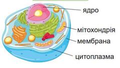 0401xxib-19c1-240x137.jpg