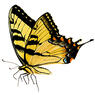 0401xxjz-3c81-226x226.jpg