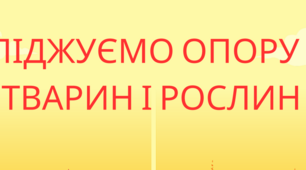 Презентація уроку у 5 класу "Опора і рух тварин і рослин" (за Коршевнюк)