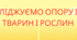 Презентація уроку у 5 класу "Опора і рух тварин і рослин" (за Коршевнюк)
