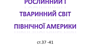Рослинний і тваринний світ Північної Америки