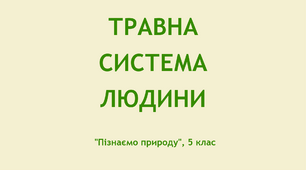 Презентація "Травна система людини",  НУШ