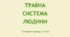 Презентація "Травна система людини",  НУШ