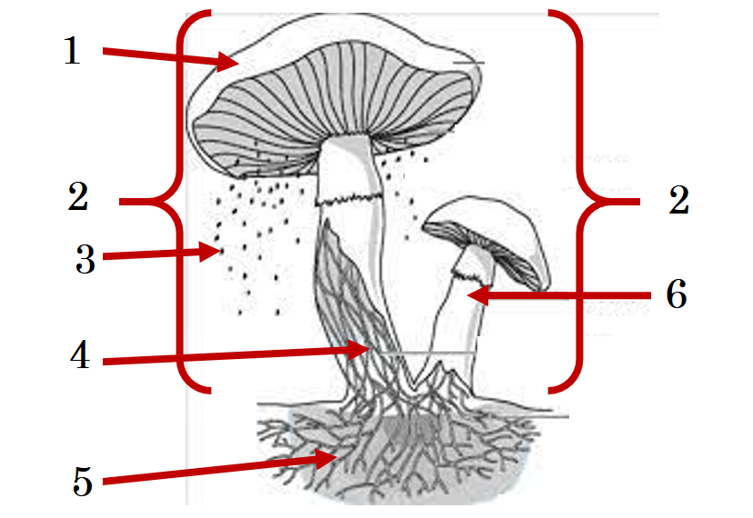 0401xydd-db64-828x570.png