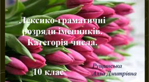 Лексико-граматичні розряди іменників. Категорія числа. 10 клас
