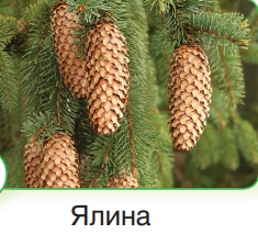 0401y0i6-8235-235x213.png