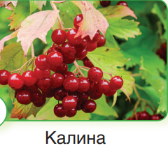 0401y0ip-8393-240x212.png