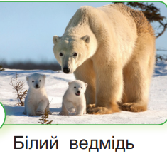 0401y0jj-b8ce-235x216.png