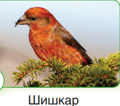 0401y0js-1a1c-237x210.png