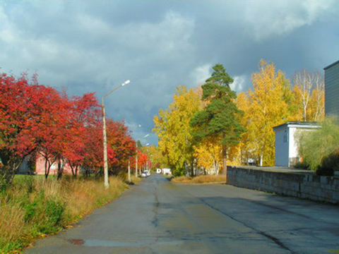 0401y1bk-7a8d-480x360.png