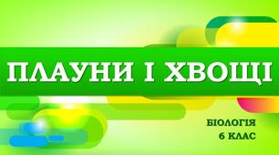 Тест "Плауни і хвощі"