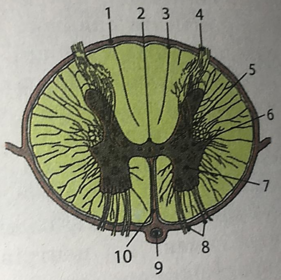 0401y1lv-1ff5-281x280.png