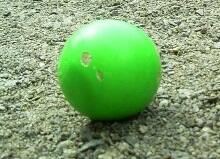 0401y1ml-7a95-220x159.jpg