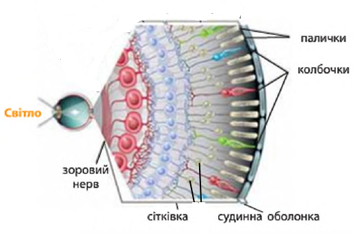 0401y2gc-dde3-519x340.png
