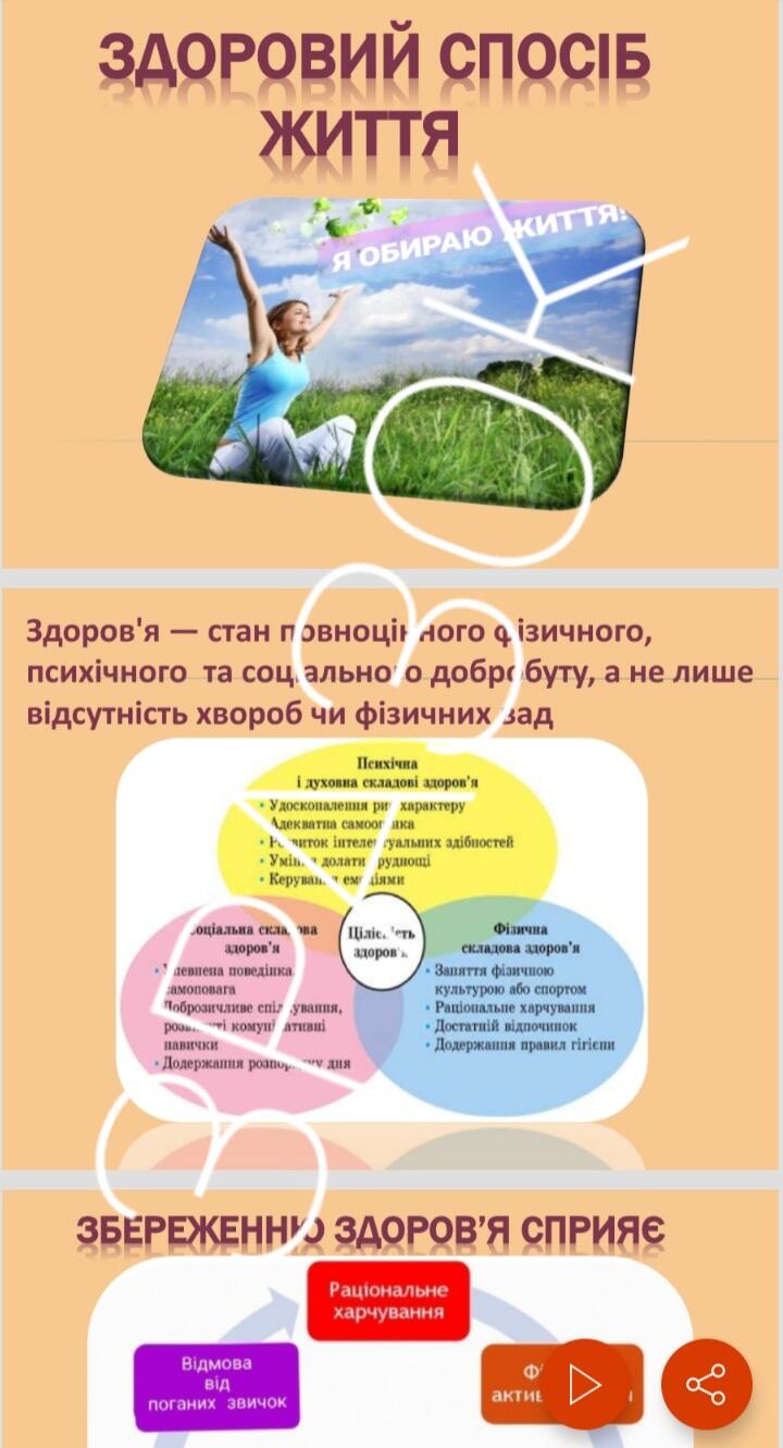 0401y57w-fdac-720x1331.jpg