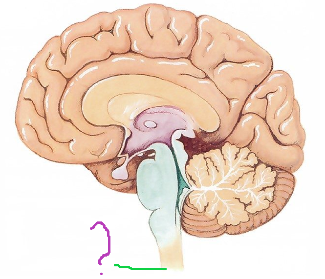 0401y61x-160f-665x572.png