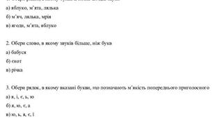 Контрольна робота з теми «Звуки і букви» для 2 класу