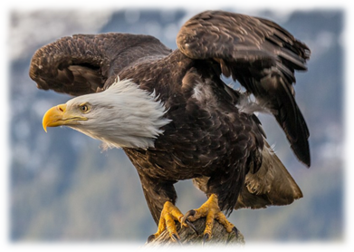0401ye5y-dd66-391x278.png