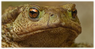 0401ye6l-f364-388x202.png