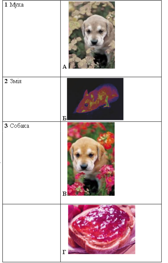 0401yfh3-bb4d-566x885.png