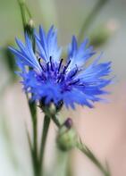 0401yjjs-1cdb-141x197.jpg