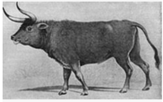 0401yjoi-d104-182x114.png