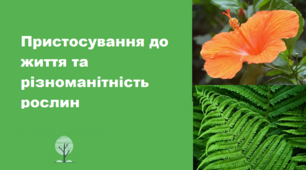 Пристосування до життя та різноманітність рослин