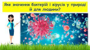 Презентація "Яке значення бактерій і вірусів у природі й для людей ?"