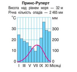 0401ynfy-9826-261x244.jpg