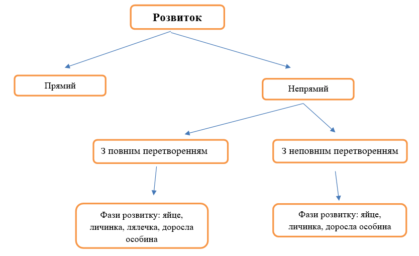 0401ynrn-4330-834x509.png